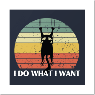 Cat I Do What I Want Posters and Art